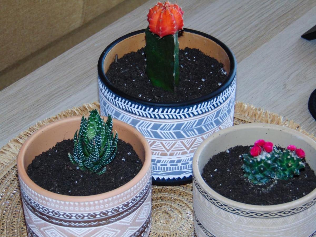 Apartament The Orange Cactus Sparta Zewnętrze zdjęcie
